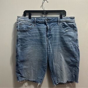 American Eagle Men’s Shorts